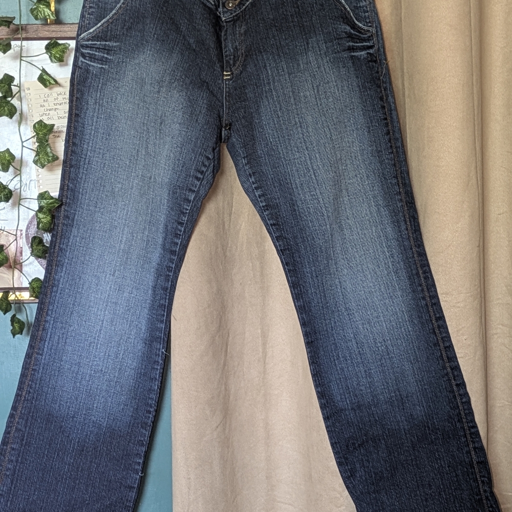 Apple Bottoms Blue Denim Jeans